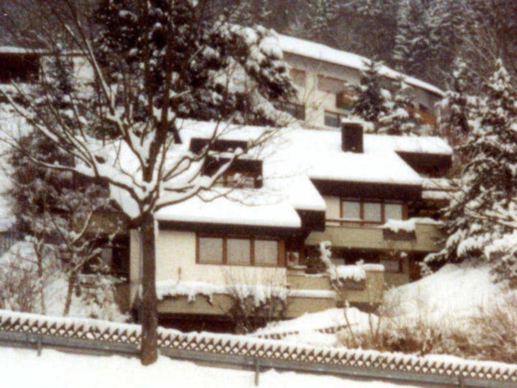 Haus Sonnenhang Apartment Todtnau Exterior foto